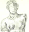 images/dessin_venus.jpg (24240 octets)